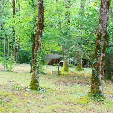 Holiday home Village De Le Chatenet Thonac